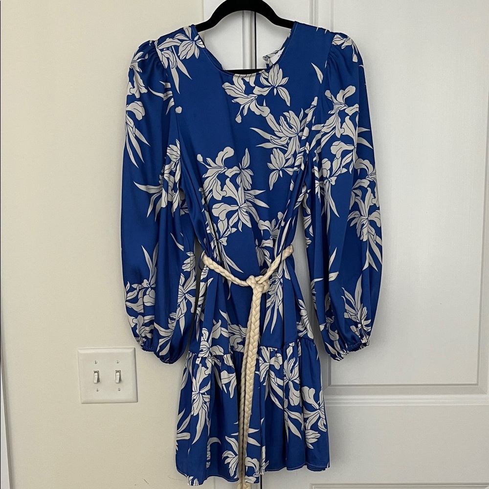 Alexis Blue and White Floral Long Sleeve Dress